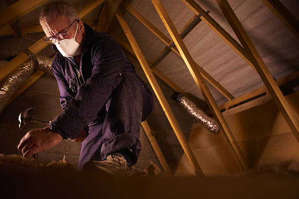 Best Residential Insulation in Lonaconing, MD