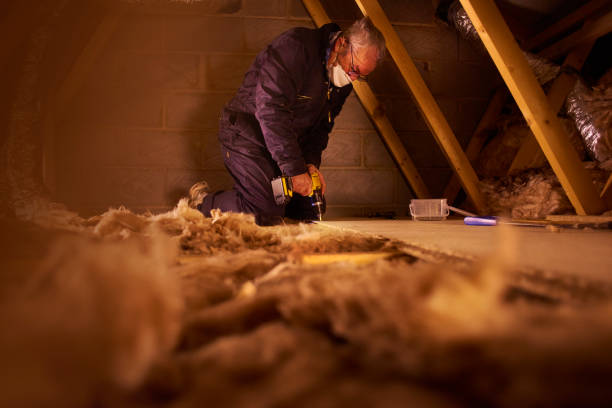 Best Insulation Installation Services in Lonaconing, MD